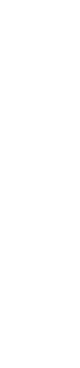 お歳暮