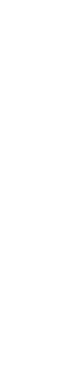 クリスマス
