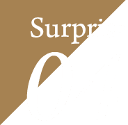 Surprise04